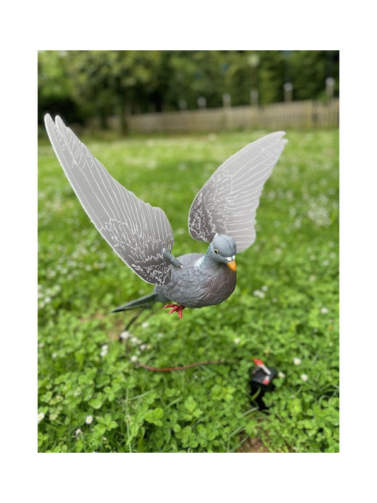 Colombaccio Ali Rotanti Oblique ad Intermittenza Pianeta Colombaccio