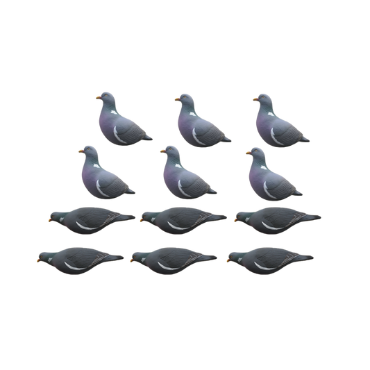 SET DA 12PZ STAMPO COLOMBACCIO Passione Natura