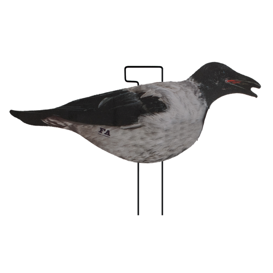 SET DA 12PZ DI STAMPO 2D CORNACCHIA FLOCKED Passione Natura