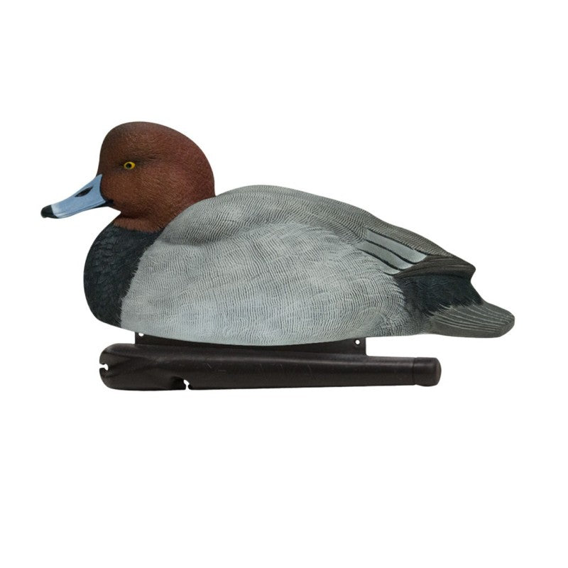 SET DA 6PZ DI STAMPI MORIGLIONE Passione Natura