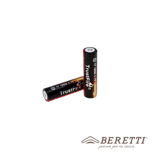 Rechargeable Battery for Radio Control