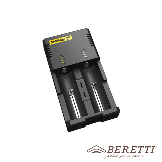 F60 Lithium Battery Charger