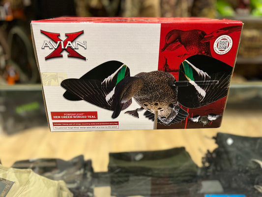 Avian x Power Flight HenTeal, ala rotatoria verde azulado, solo hembra