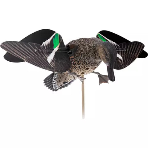 Avian x Power Flight HenTeal, ala rotatoria verde azulado, solo hembra