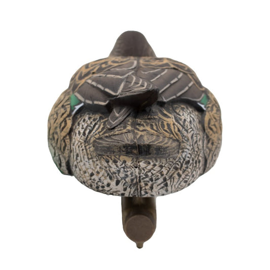 SET DA 12PZ DI STAMPI ALZAVOLA MASCHIO E FEMMINA Passione Natura