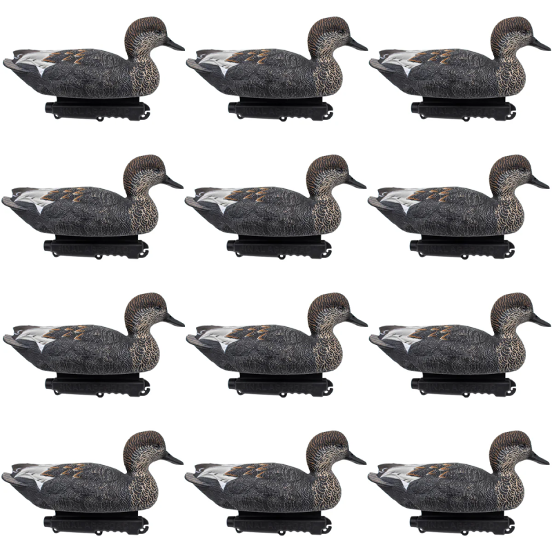 SET 12PZ DI STAMPI CANAPIGLIA MASCHIO Passione Natura