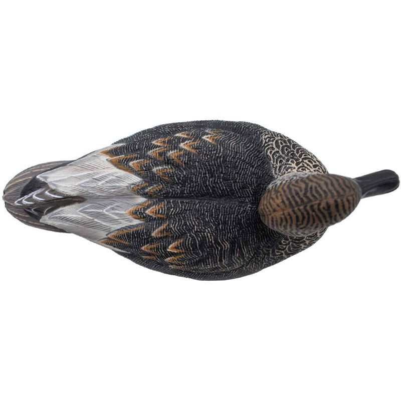 SET 12PZ DI STAMPI CANAPIGLIA MASCHIO Passione Natura