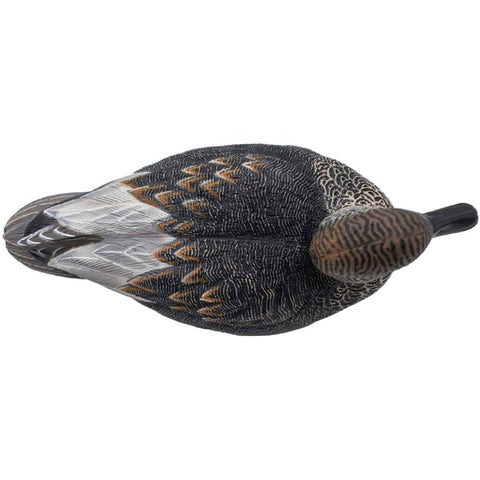 SET 12PZ DI STAMPI CANAPIGLIA MASCHIO Passione Natura