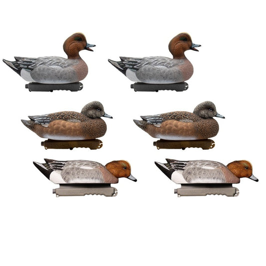 SET DA 6PZ DI STAMPI FISCHIONE MASCHIO E FEMMINA Passione Natura