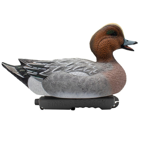 SET DA 6PZ DI STAMPI FISCHIONE MASCHIO E FEMMINA Passione Natura