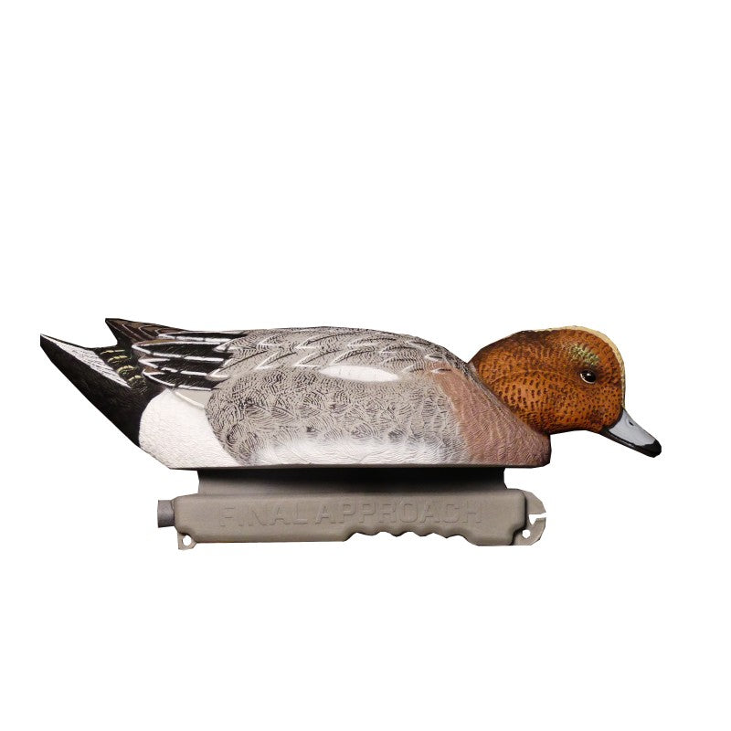 SET DA 6PZ DI STAMPI FISCHIONE MASCHIO E FEMMINA Passione Natura