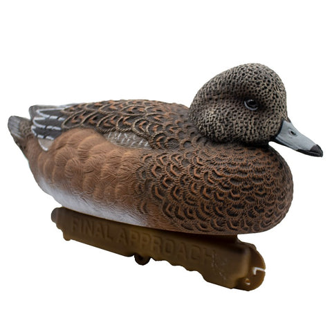 SET DA 6PZ DI STAMPI FISCHIONE MASCHIO E FEMMINA Passione Natura