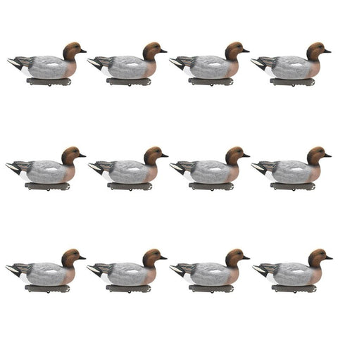 SET DA 12PZ DI STAMPI FISCHIONE MASCHIO Passione Natura