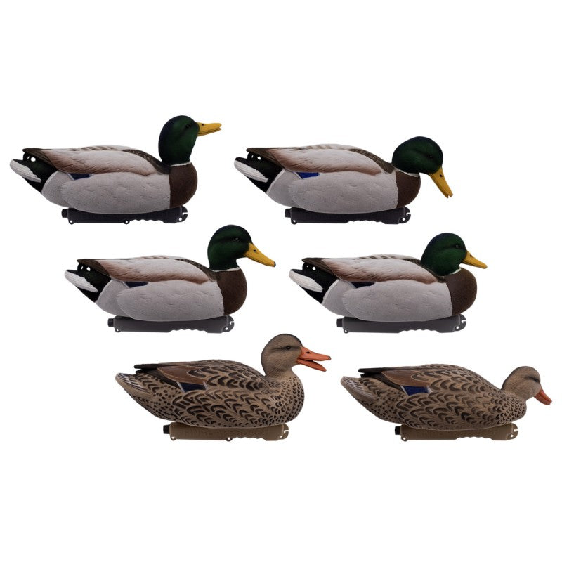 SET DA 6PZ DI STAMPI GERMANO MASCHIO E FEMMINA FLOCKED