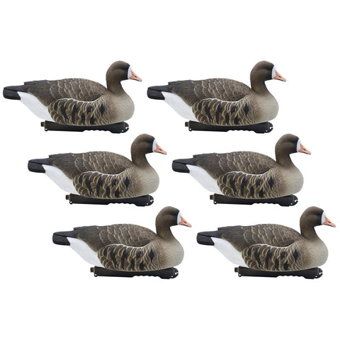 SET DA 12PZ DI STAMPI GERMANO MASCHIO E FEMMINA DA CAMPO Passione Natura