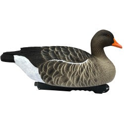 SET DA 12PZ DI STAMPI GERMANO MASCHIO E FEMMINA DA CAMPO Passione Natura