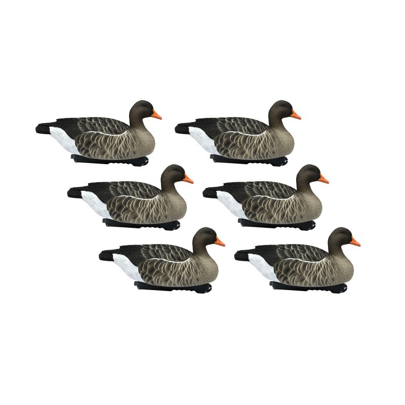 SET DA 12PZ DI STAMPI GERMANO MASCHIO E FEMMINA DA CAMPO Passione Natura