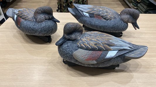 Gadwall FA Series LIVE-HD 6 machos
