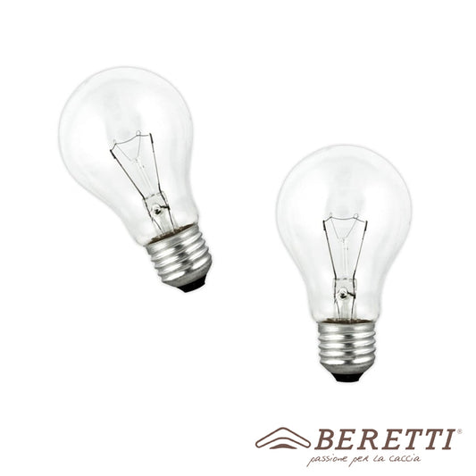 2 Piece Kit - E27 TRANSPARENT INCANDESCENT LAMP
