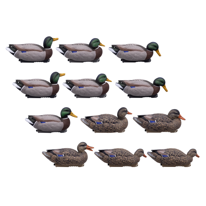 SET DA 12PZ DI STAMPO GERMANO MASCHIO E FEMMINA Passione Natura