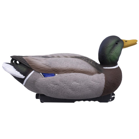 SET DA 12PZ DI STAMPO GERMANO MASCHIO E FEMMINA Passione Natura