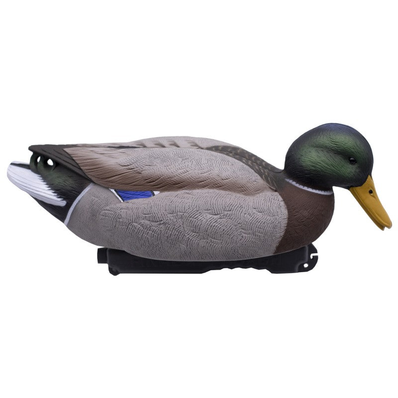 SET DA 12PZ DI STAMPO GERMANO MASCHIO E FEMMINA Passione Natura