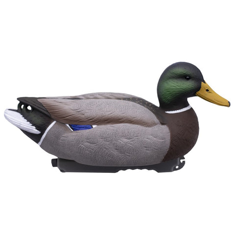 SET DA 12PZ DI STAMPO GERMANO MASCHIO E FEMMINA Passione Natura