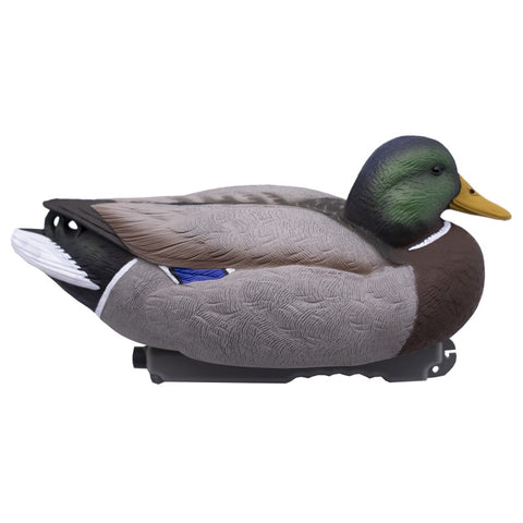 SET DA 12PZ DI STAMPO GERMANO MASCHIO E FEMMINA Passione Natura