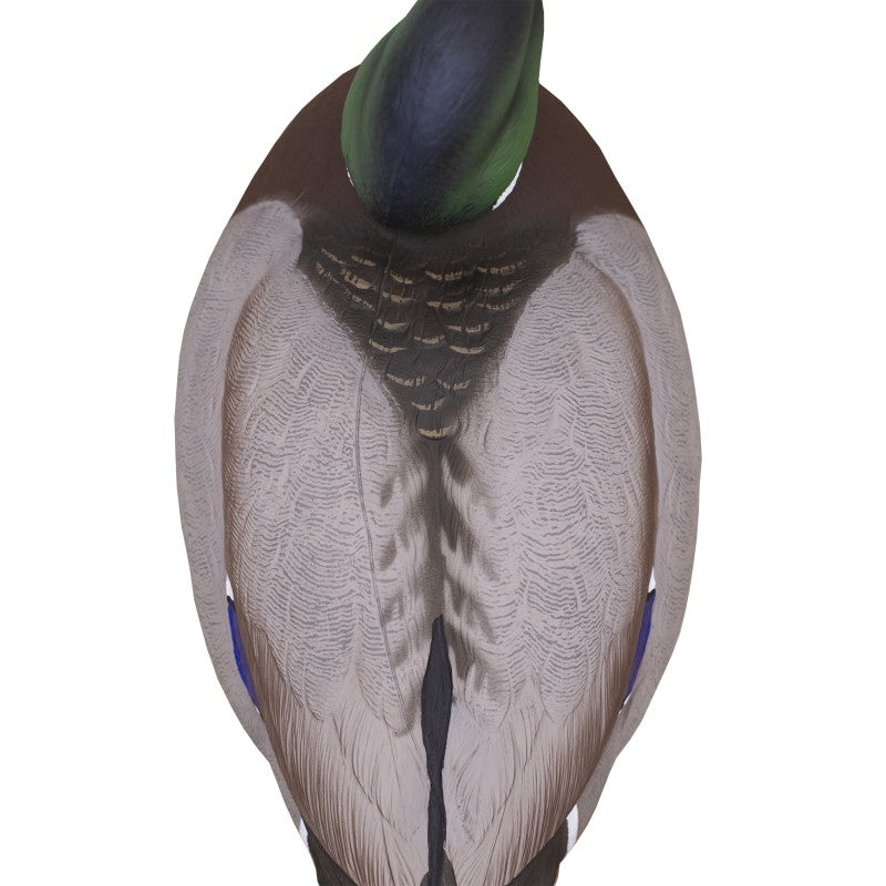 SET DA 12PZ DI STAMPO GERMANO MASCHIO E FEMMINA Passione Natura