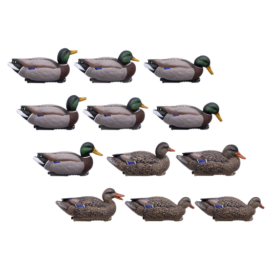 SET DA 12PZ DI STAMPO GERMANO MASCHIO E FEMMINA Passione Natura