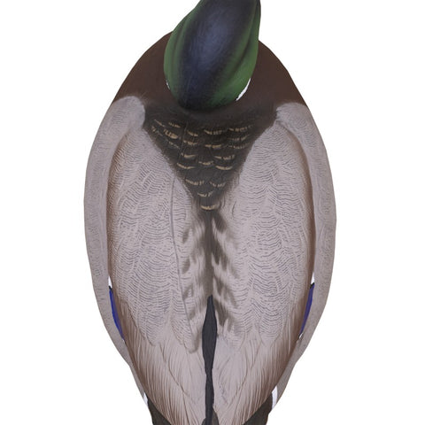 SET DA 12PZ DI STAMPO GERMANO MASCHIO E FEMMINA Passione Natura