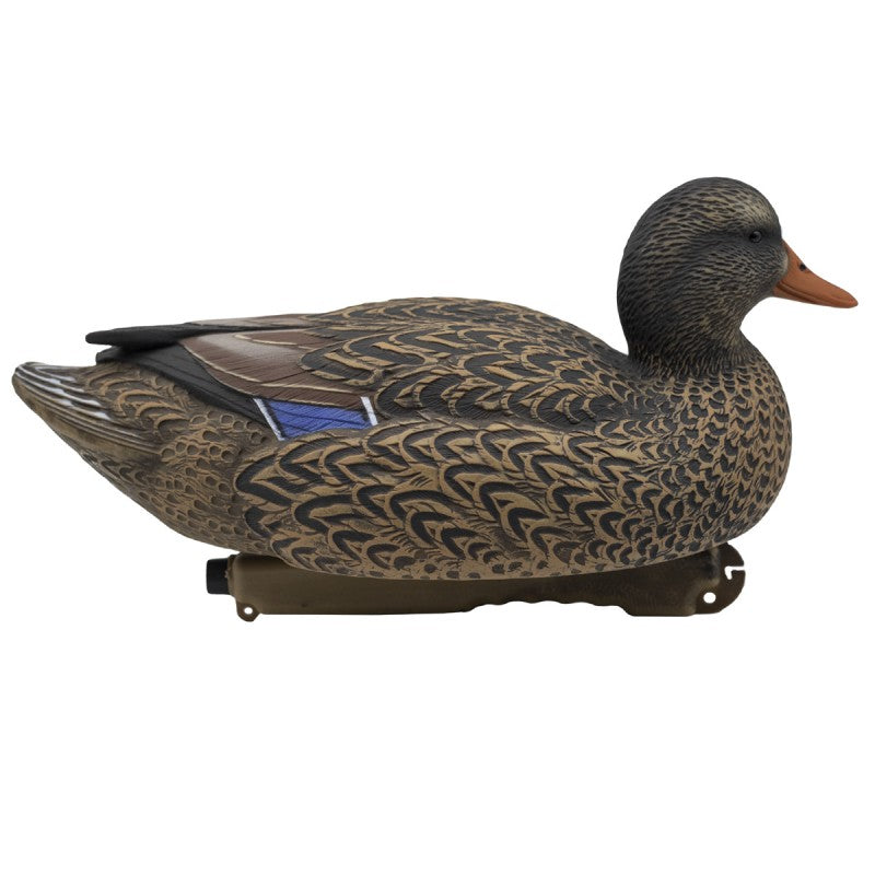 SET DA 12PZ DI STAMPO GERMANO MASCHIO E FEMMINA Passione Natura