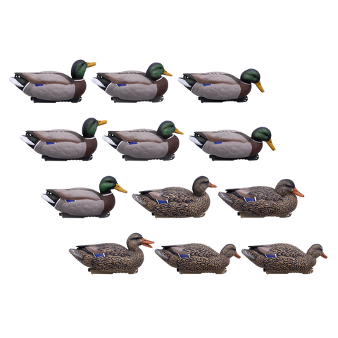 SET DA 12PZ DI STAMPO GERMANO MASCHIO E FEMMINA Passione Natura