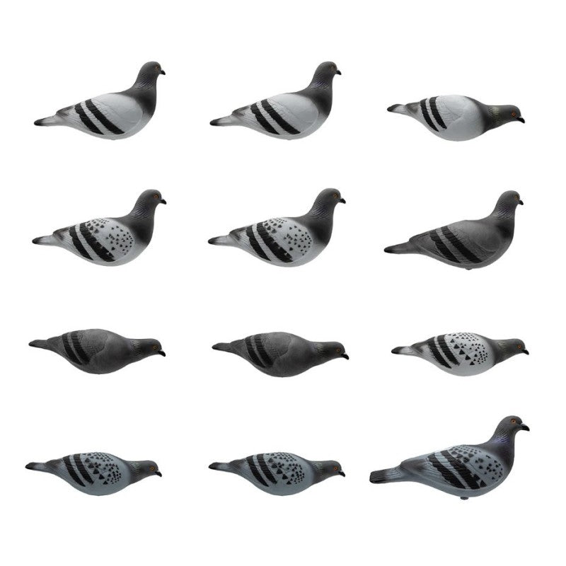 SET DA 12PZ DI STAMPO PICCIONE Passione Natura