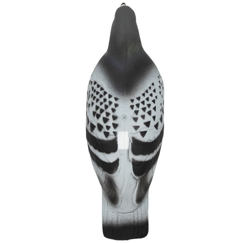 SET DA 12PZ DI STAMPO PICCIONE Passione Natura