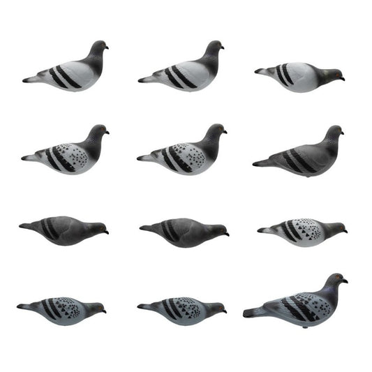 SET DA 12PZ DI STAMPO PICCIONE Passione Natura