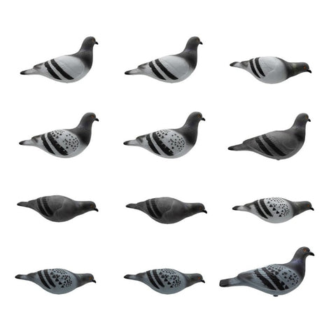 SET DA 12PZ DI STAMPO PICCIONE Passione Natura