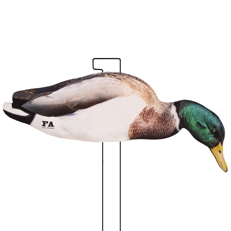 SET DA 12PZ DI STAMPO SILHOUETTE 2D GERMANO MASCHIO E FEMMINA Passione Natura