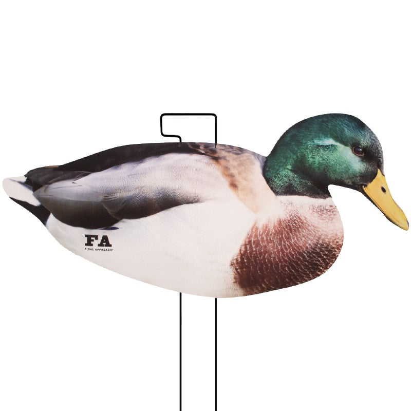 SET DA 12PZ DI STAMPO SILHOUETTE 2D GERMANO MASCHIO E FEMMINA Passione Natura