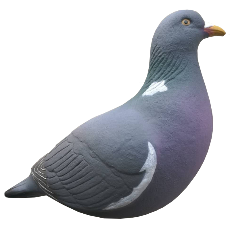 SET DA 12PZ STAMPO COLOMBACCIO Passione Natura