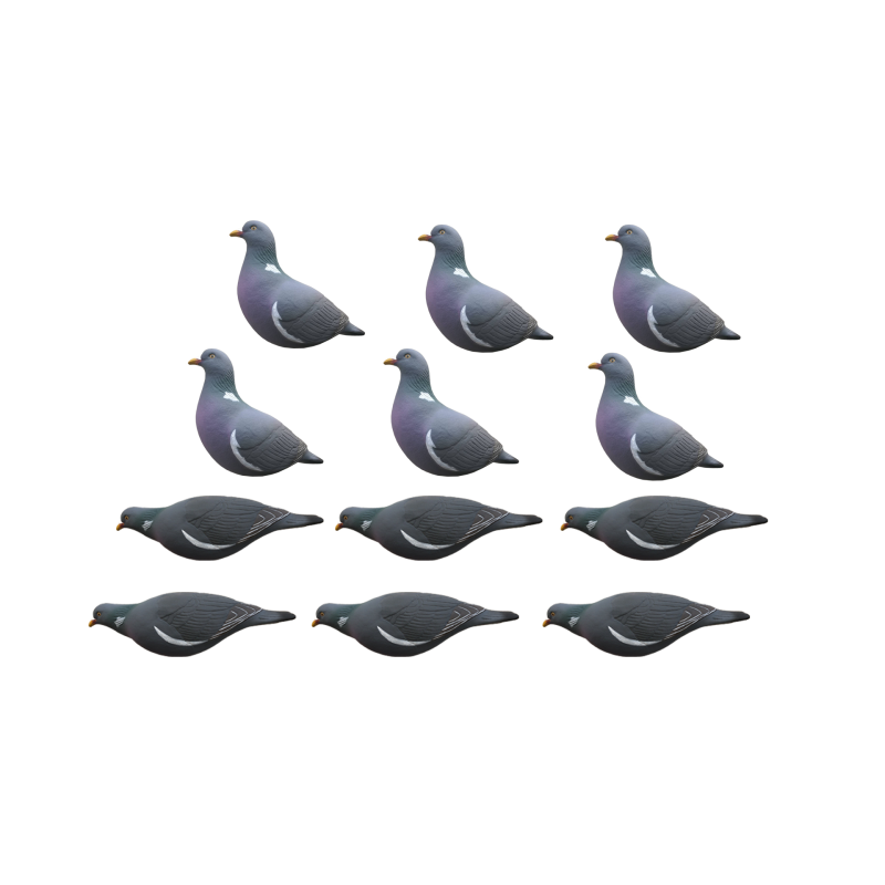 SET DA 12PZ STAMPO COLOMBACCIO Passione Natura