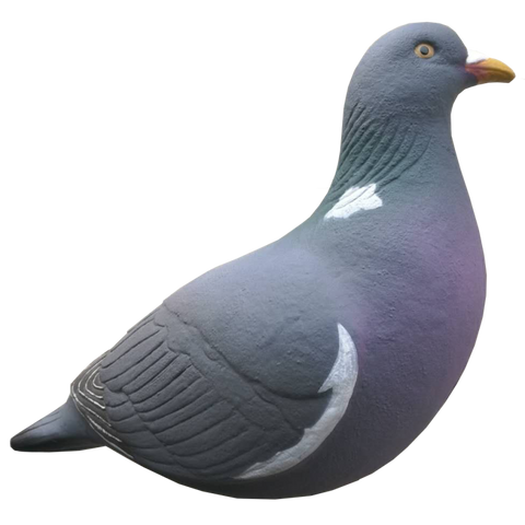 SET DA 12PZ STAMPO COLOMBACCIO Passione Natura