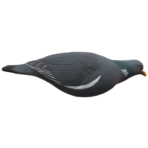 SET DA 12PZ STAMPO COLOMBACCIO Passione Natura