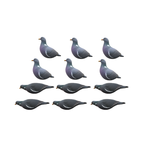 SET DA 12PZ STAMPO COLOMBACCIO Passione Natura