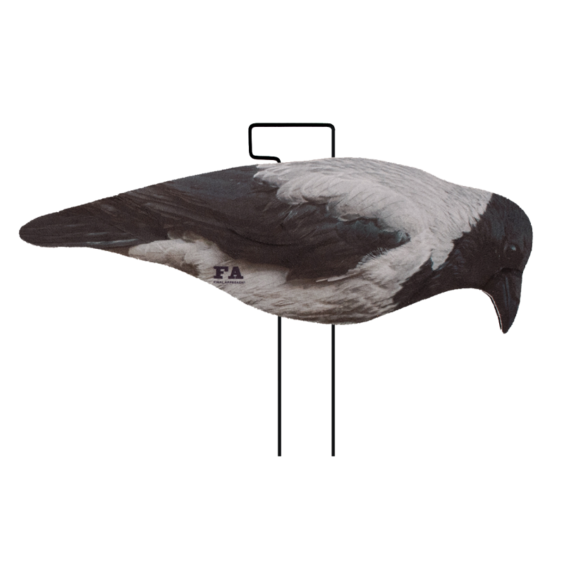 SET DA 12PZ DI STAMPO 2D CORNACCHIA FLOCKED Passione Natura