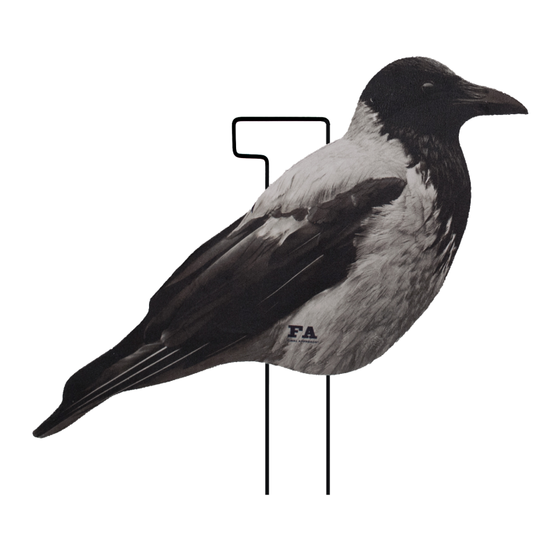 SET DA 12PZ DI STAMPO 2D CORNACCHIA FLOCKED Passione Natura