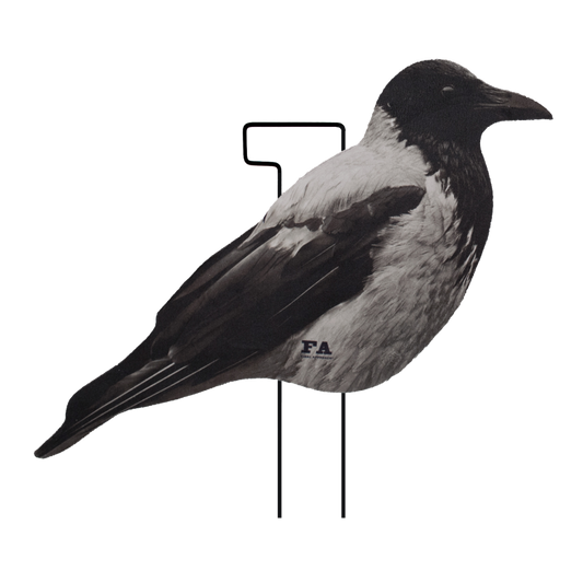 SET DA 12PZ DI STAMPO 2D CORNACCHIA FLOCKED Passione Natura