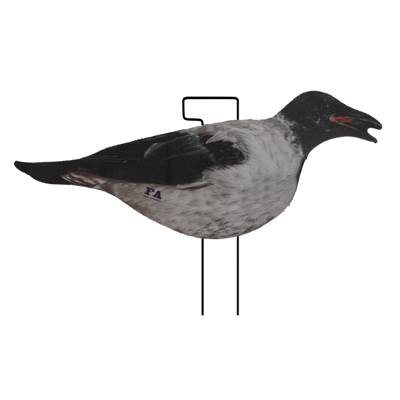 SET DA 12PZ DI STAMPO 2D CORNACCHIA FLOCKED Passione Natura