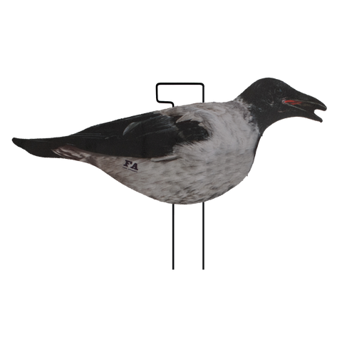 SET DA 12PZ DI STAMPO 2D CORNACCHIA FLOCKED Passione Natura