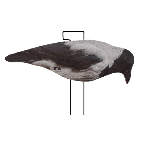 SET DA 12PZ DI STAMPO 2D CORNACCHIA FLOCKED Passione Natura